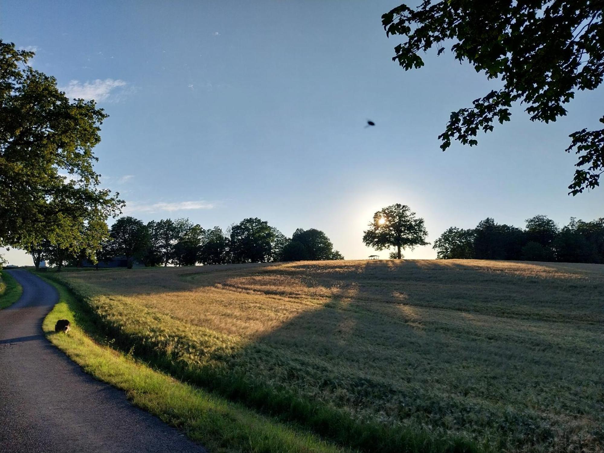 Landhotel Waldschloesschen Mit Gaststube Sohland an der Spree エクステリア 写真